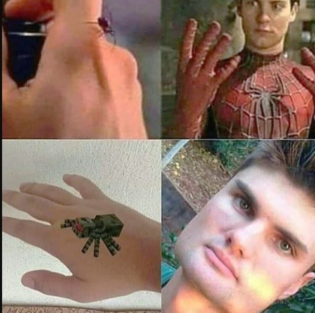 meinkraft - meme