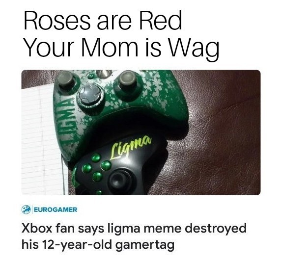 Xbox fan says ligma meme destroyed his 12-year-old gamertag