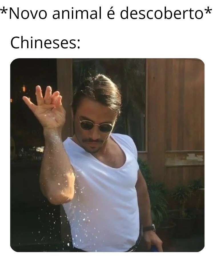 Malditos chineses - meme