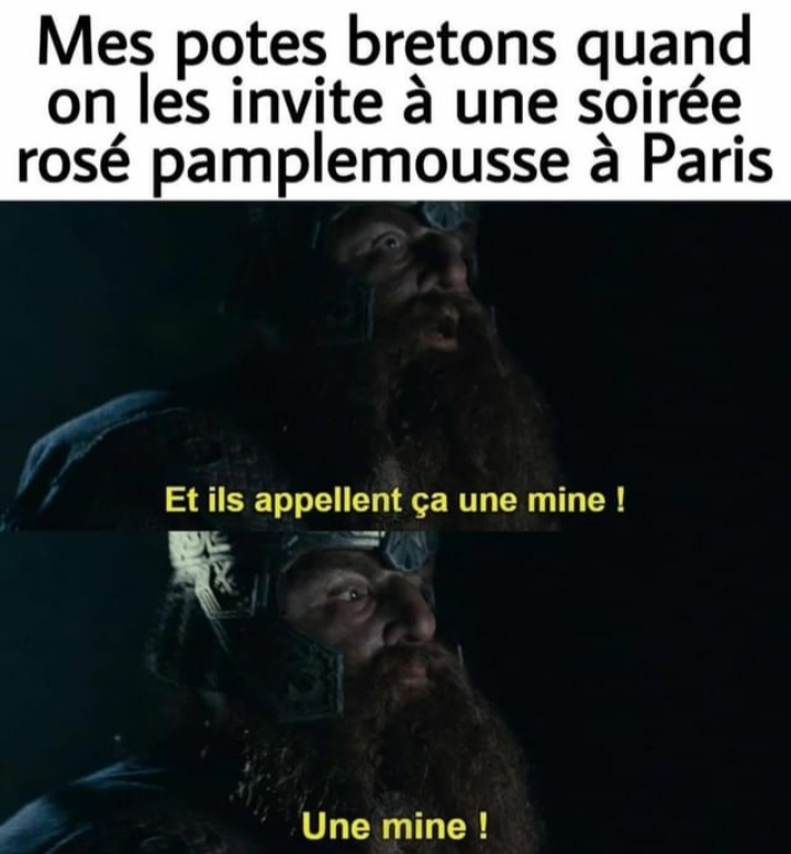 Bretagne vs. Paris - meme