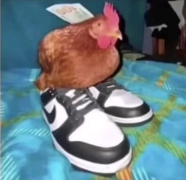 Face reveal, asi es gente todo este tiempo era un pollo con tenis :fuckyeah: - meme