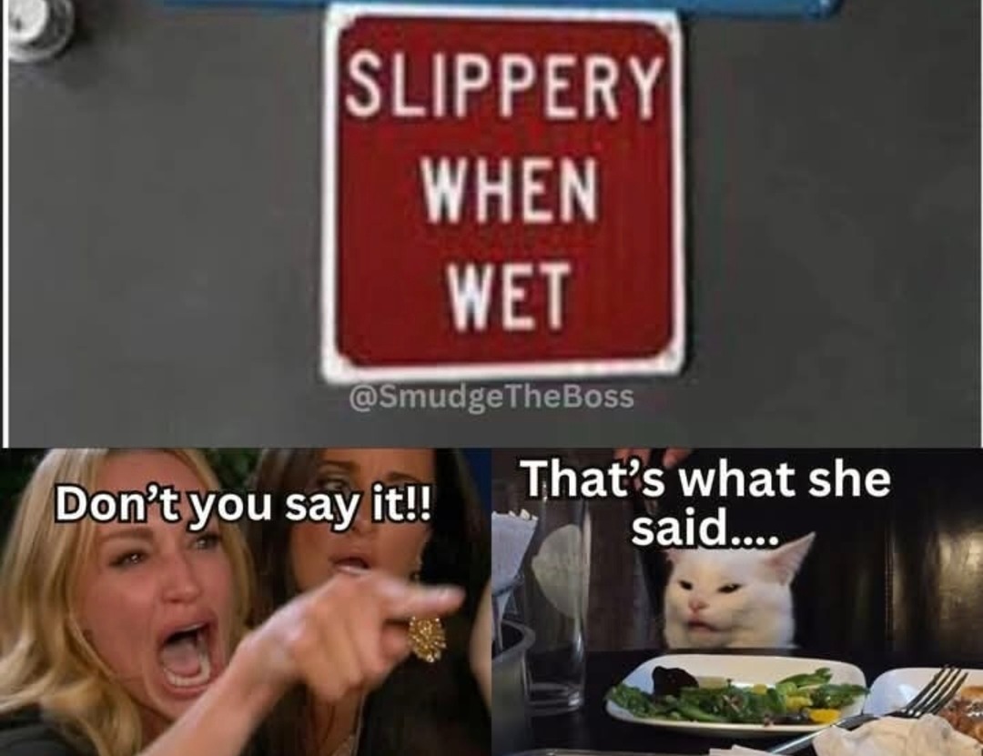 Slippery when wet… don’t say it, don’t say it - meme