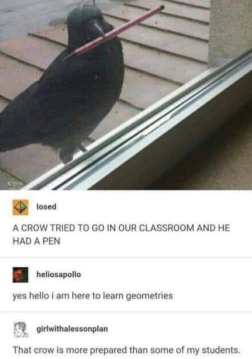 Crow tried to enroll in geometry class with a pen - meme