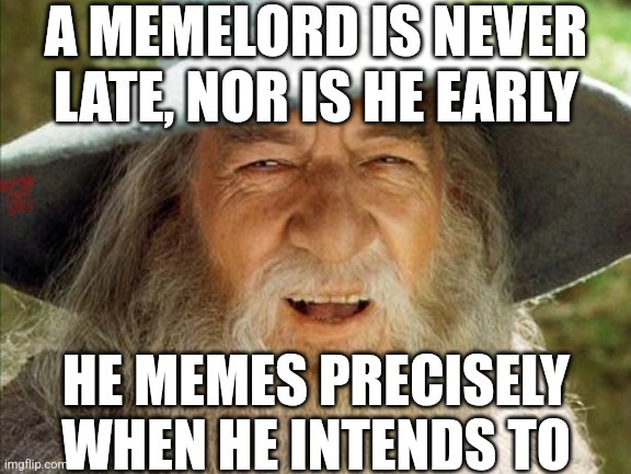 memes for days