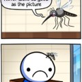 Mcsquitos
