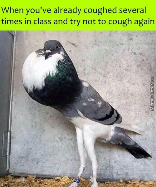 When you have coughed already enough - meme