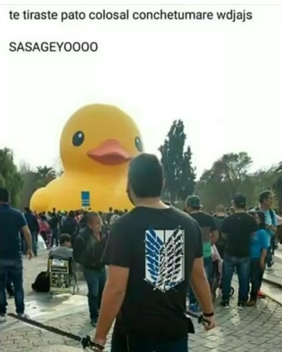 Ataque a los patos gigantes xdxd - meme