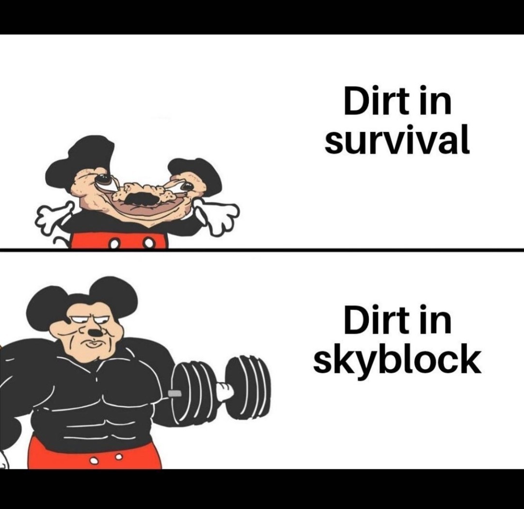 Skyblock is best - meme