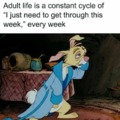 Adult life meme