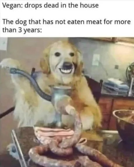 Meat's back on the menu - meme