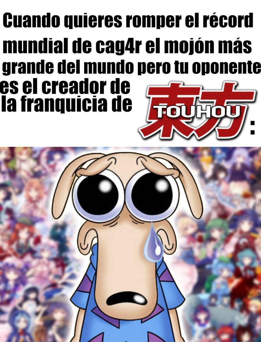 El mejor aceptado facil de mundo, lloren - meme