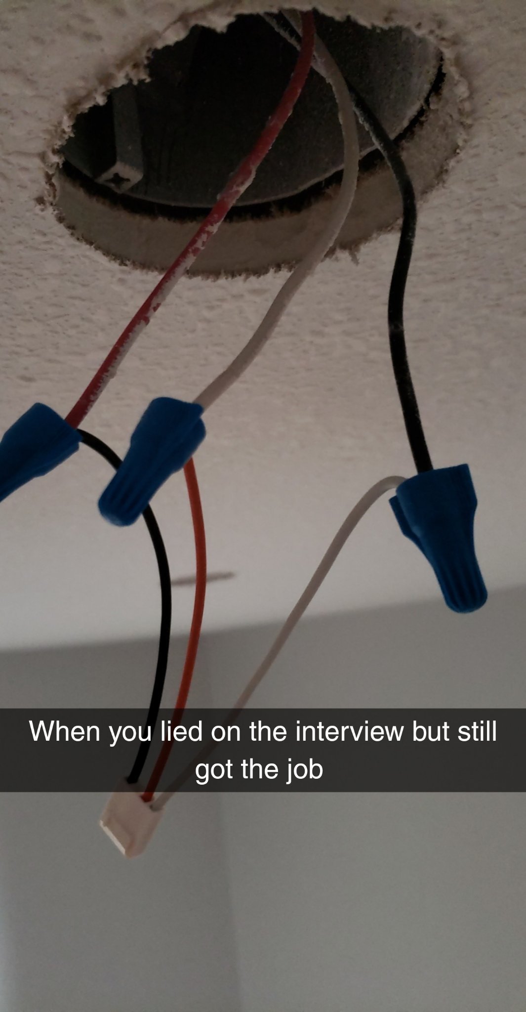 Electrician or stupidity - meme
