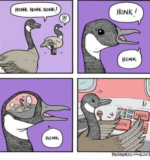 Honk - meme