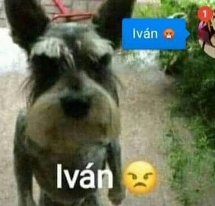Ivan >:( - meme