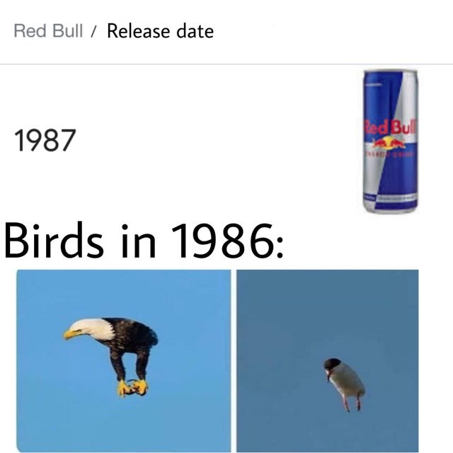 Red Bull - meme