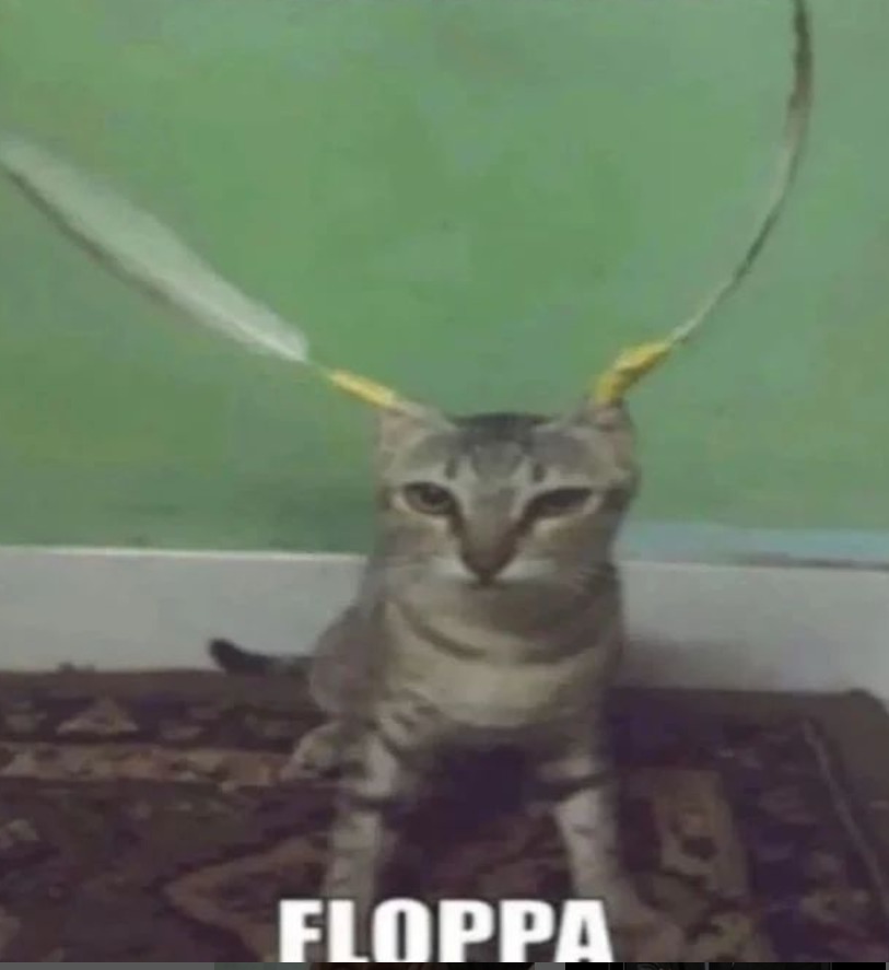 Floppa - Meme by Crisorrex :) Memedroid