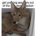 commented item thumbnail