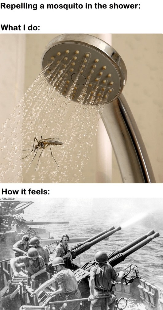 Repelling one mosquito in the shower feels like fighting Satan himself - meme