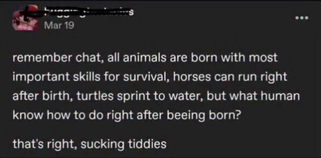 Humans born with only one true instinct - meme