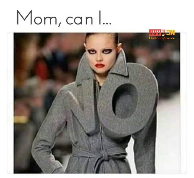 Mom, can I... - meme