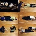 Following is the image shows of how Jack could have survived on plank with rose.