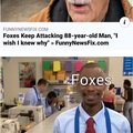 Angry foxes