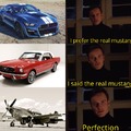 the real mustang