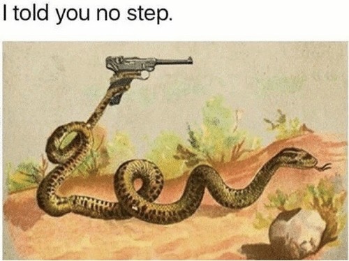 No step on snek - meme
