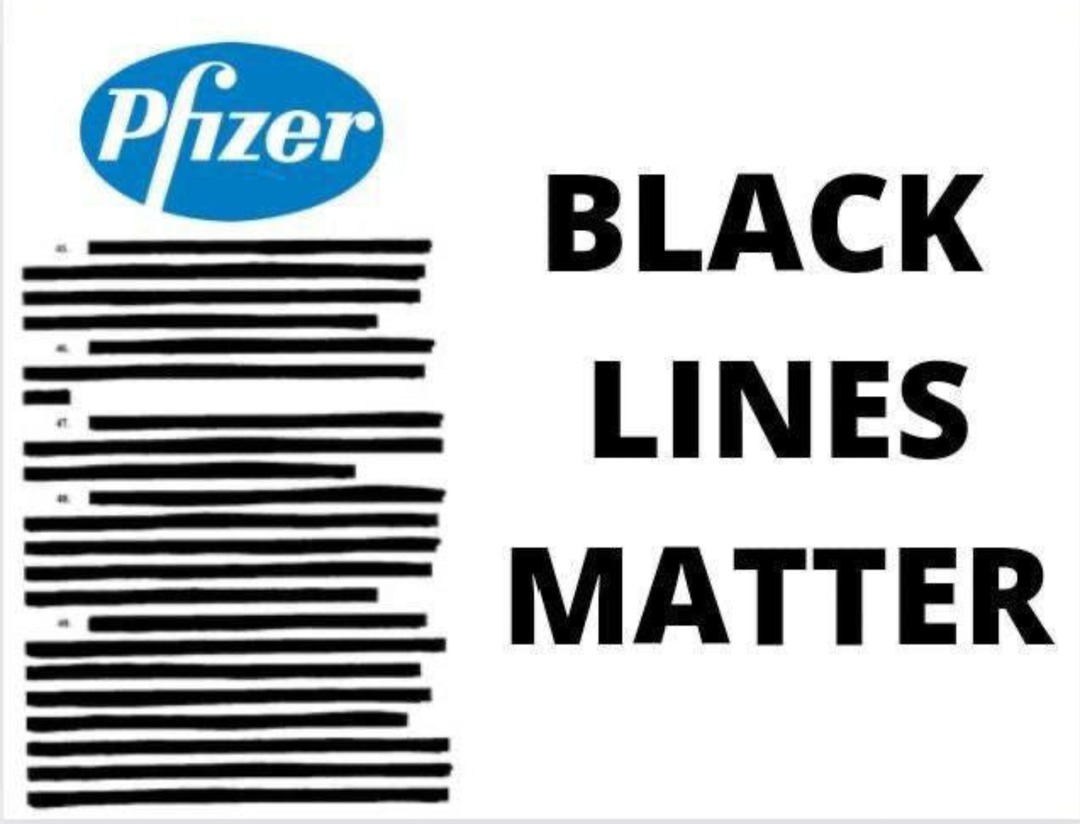 Black Lines Matter - meme