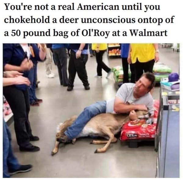 Ol Roy...the more humane choice - meme