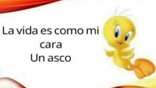 Fin. - meme