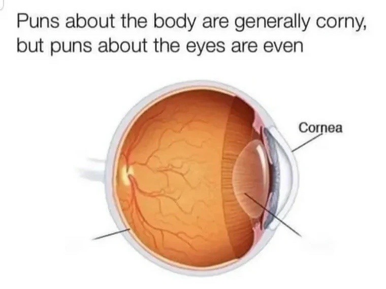 Puns about eyes are cornea than you think - meme