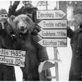 Faire connaissance avec ton ami l'ours en pleine campagne Russe.