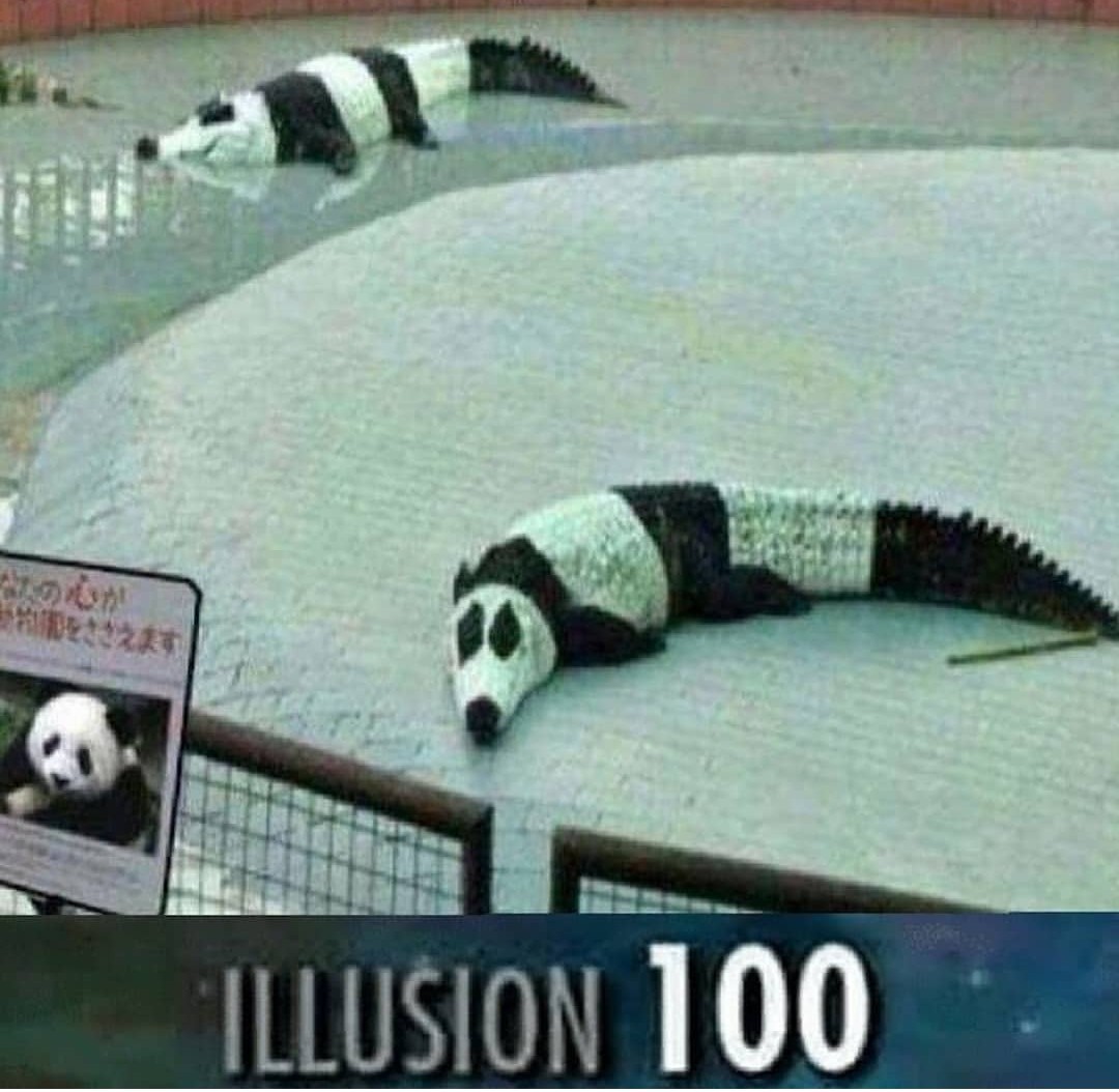 ILLUSION 100 - meme