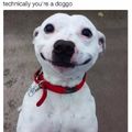 Pupper smiles