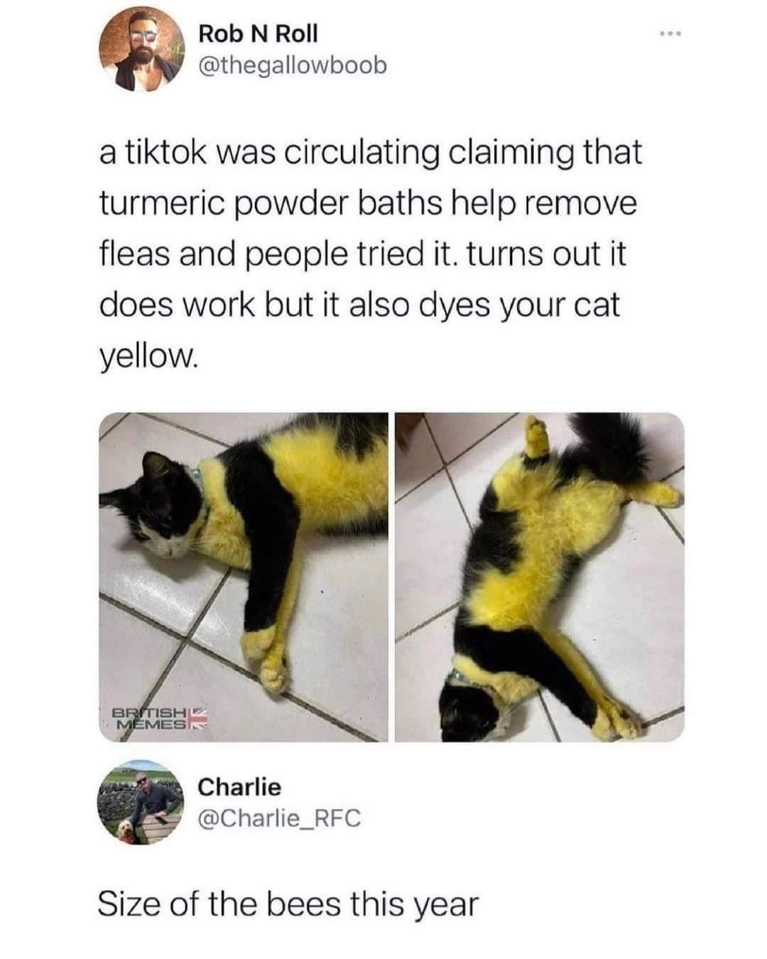 Yellow - meme