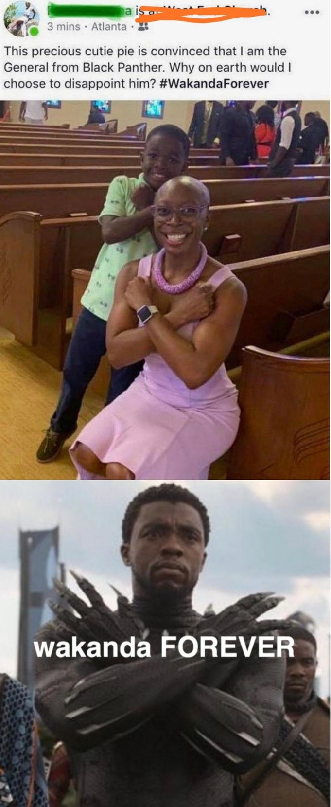 wholesome black panther 2 meme