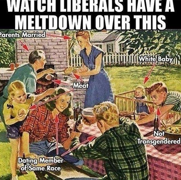 Liberal Meltdown in 3,2... - meme