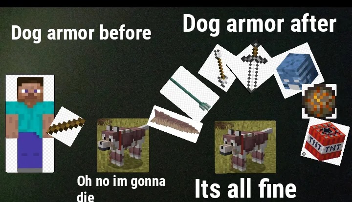 Dog armor - meme
