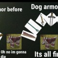 Dog armor
