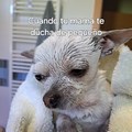 commented item thumbnail