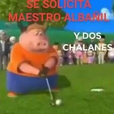 #5 - meme