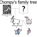 googled pics of Chompy, was not disappointed