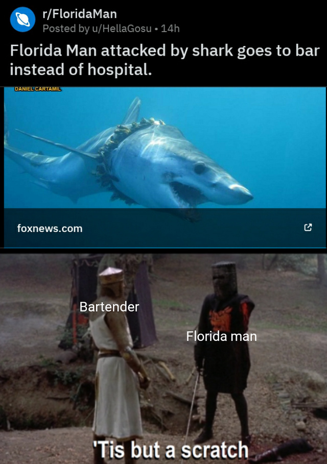 Florida man attacked by shark goes to bar instead of hospital - meme