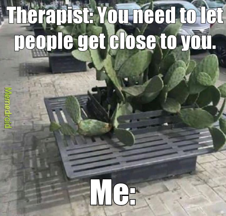 Cactus chair - meme