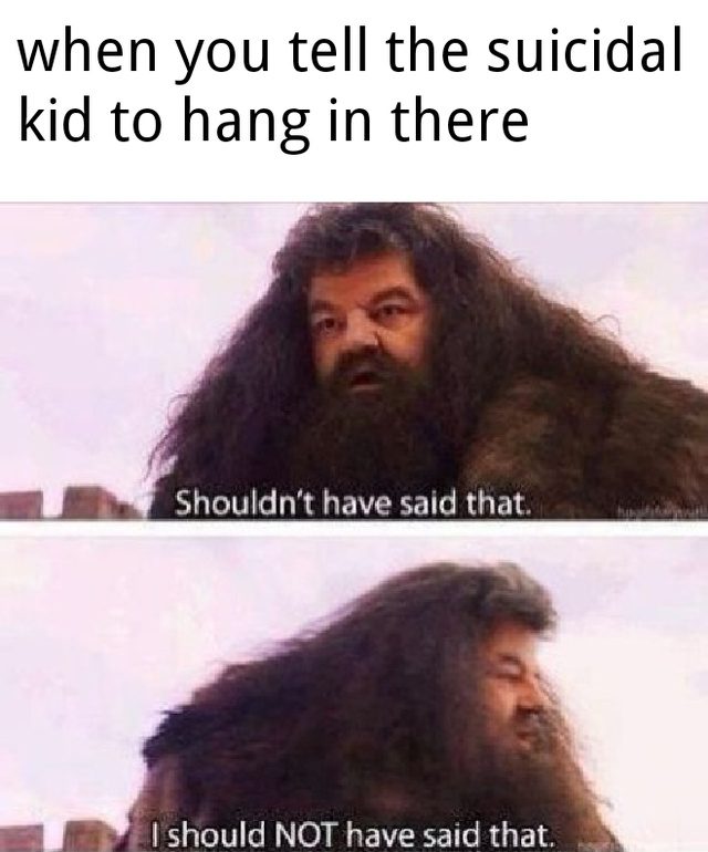 When you tell the suicidal kid to hang in there - meme
