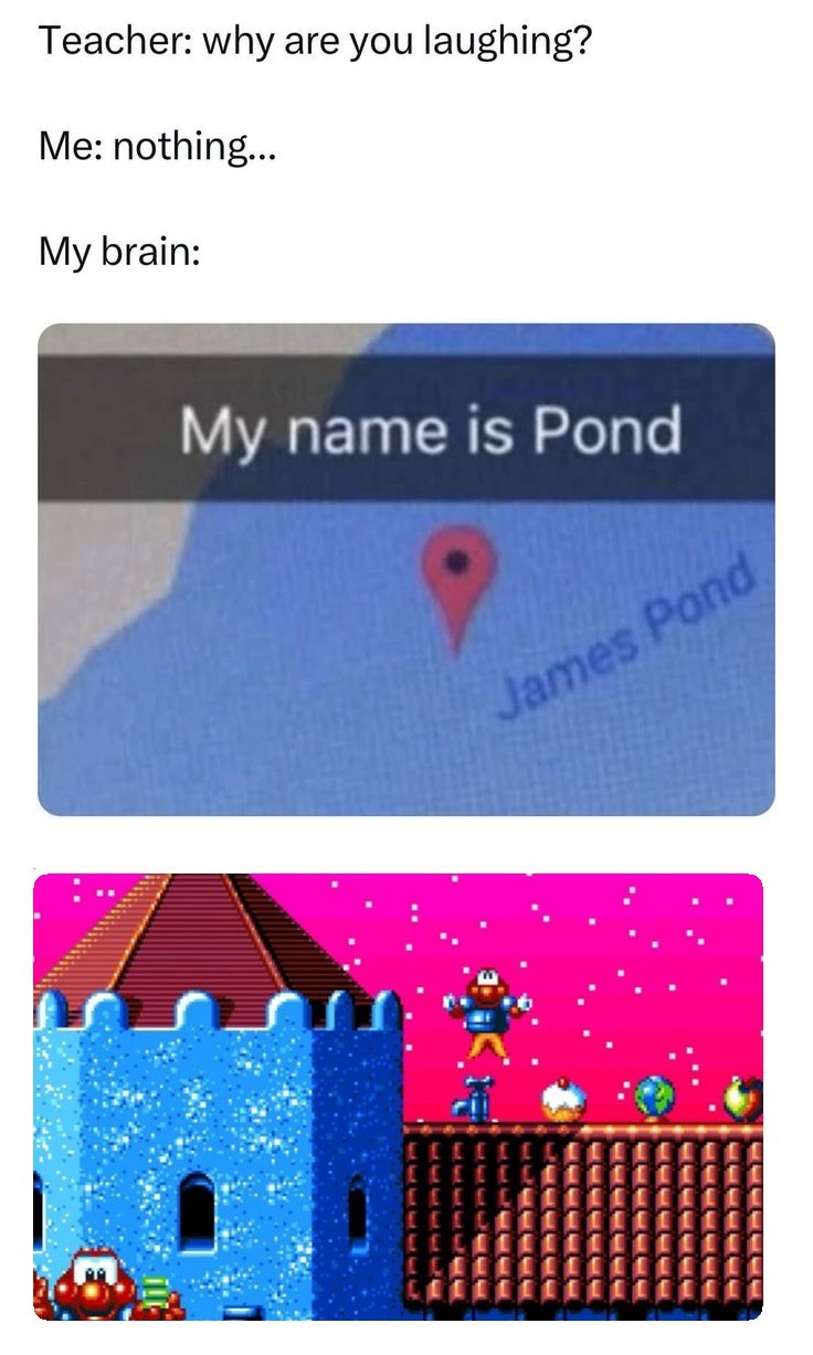 My name is pond - meme