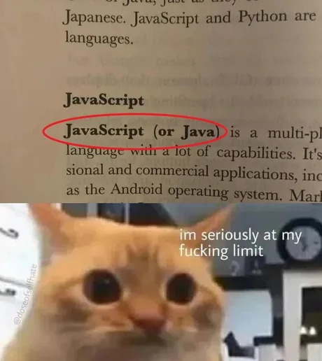 JavaScript meme