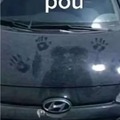 Pou 