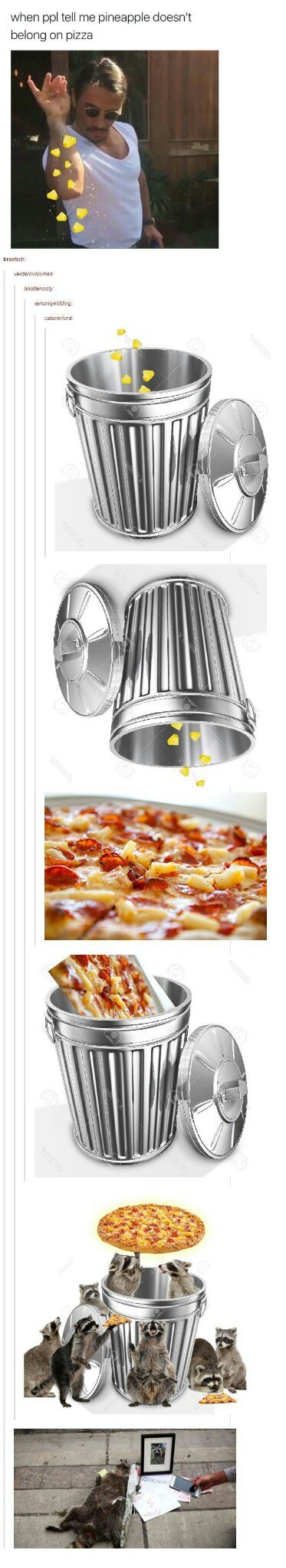 Pineapple on pizza is fucking gross - meme
